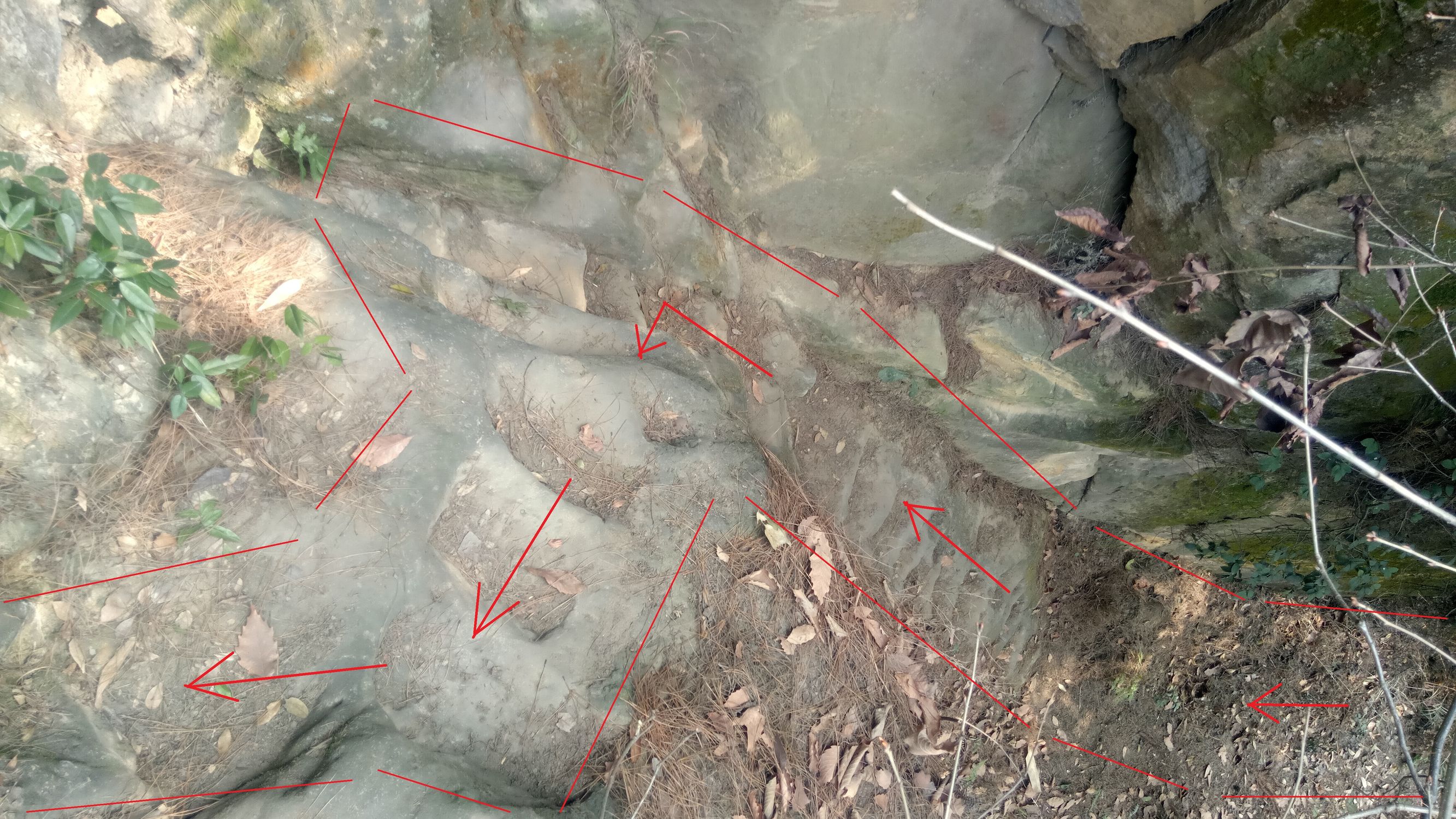 纯天然氧吧是锻炼的好地方,天然氧吧骑行好去处