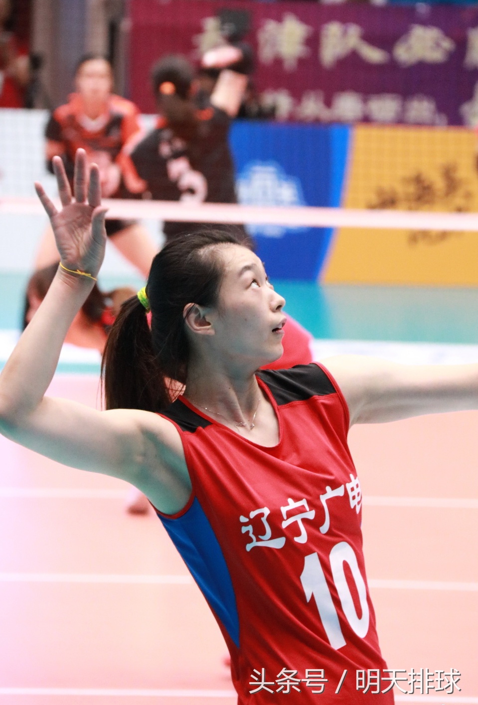 我们对中国有什么期望,最新关于中国女排的消息