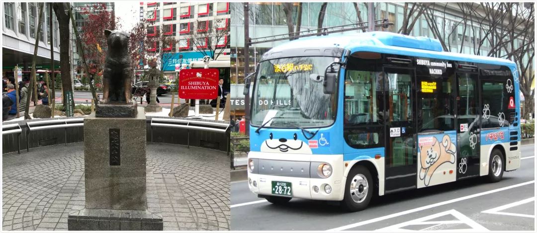 汪星人二哈电影,二哈拍过的电影