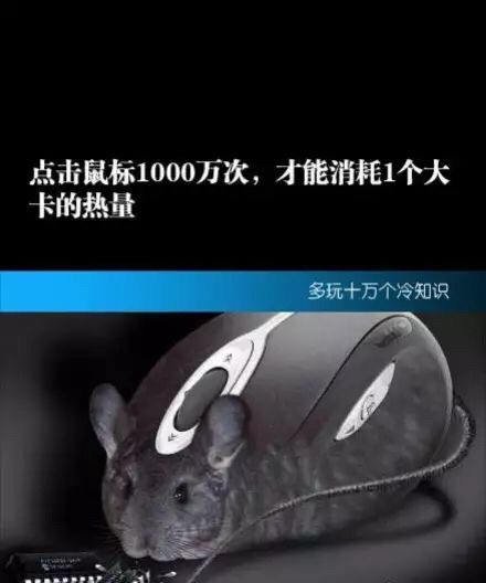 冷知识来了图片,冷知识来了最硬核