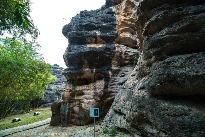 崇左自驾旅游景点有哪些地方,广西崇左沿途的风景
