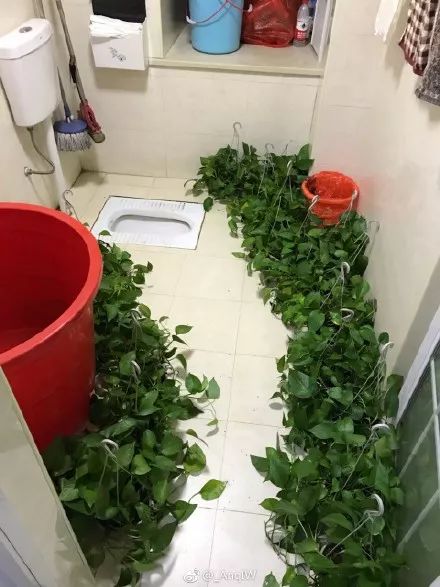 过年回家看到爸妈装修的新房，我想离家出走了……