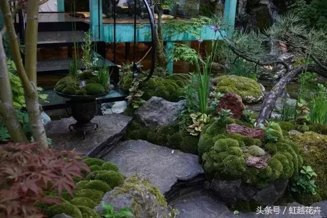 花卉界“奥斯卡”切尔西花展：无限美的花园设计是怎样的？