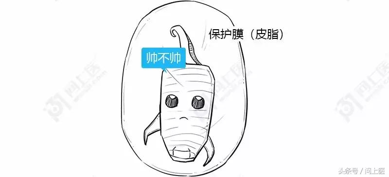 为什么别人的头发总是光滑柔顺你的却毛躁不堪？漫画教你如何护发