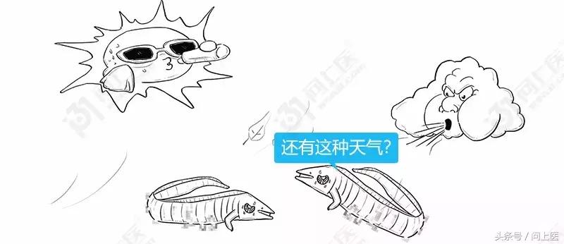 为什么别人的头发总是光滑柔顺你的却毛躁不堪？漫画教你如何护发