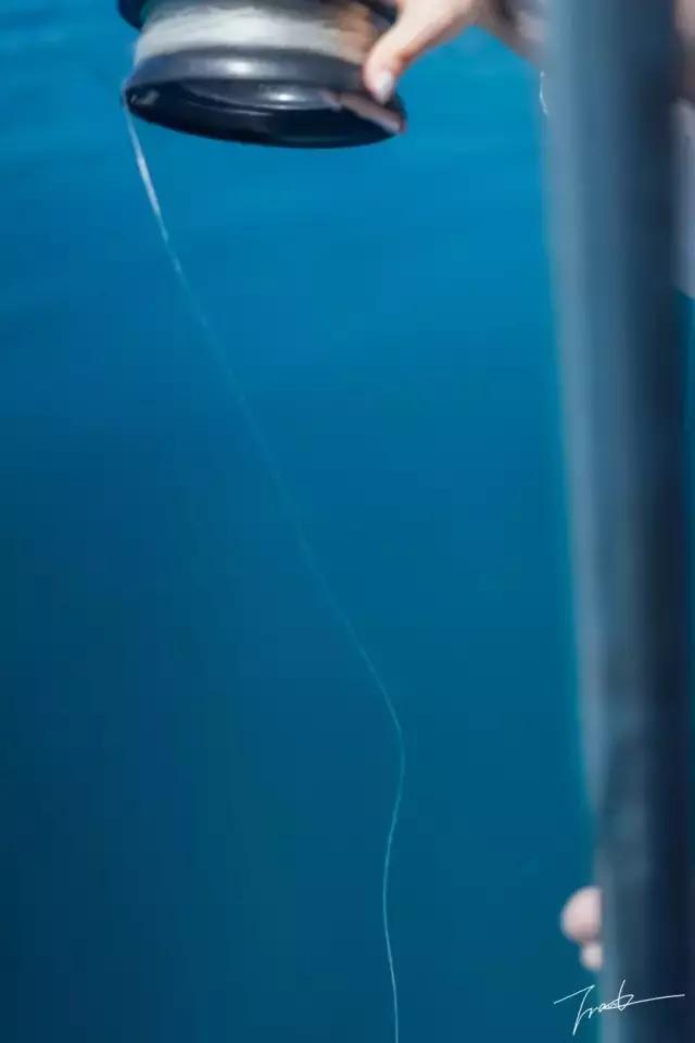 帕劳去玩的人多吗,帕劳到巴厘岛