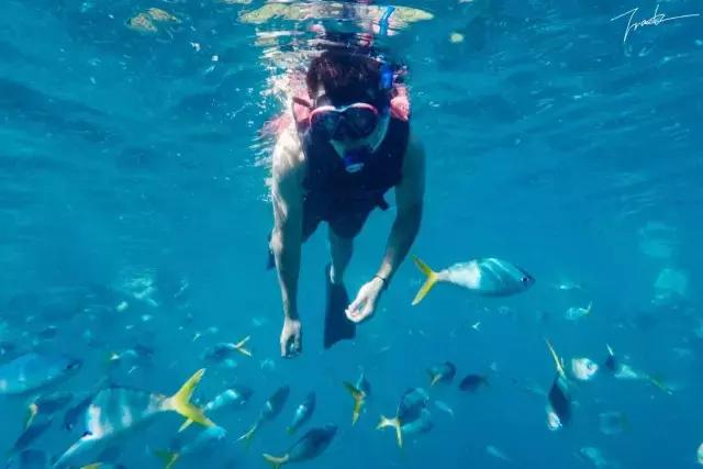 帕劳去玩的人多吗,帕劳到巴厘岛