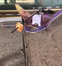 逗狗神器,逗狗神器自动发射