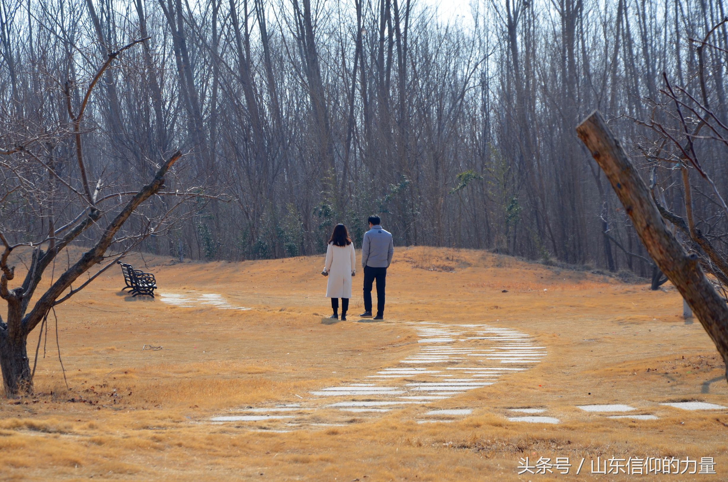 假期最后一天探访皇明集团总部所在的中国太阳谷