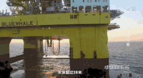 世界最大10艘海上巨无霸,100万吨海上巨无霸有多大