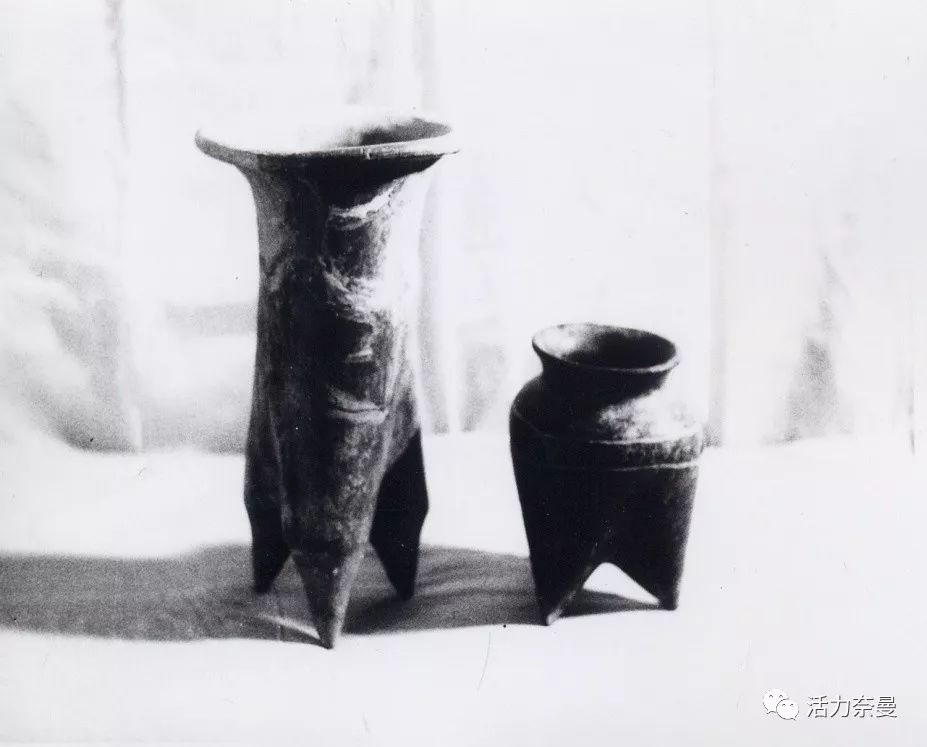 奈曼从哪儿来的,奈曼人真实身份