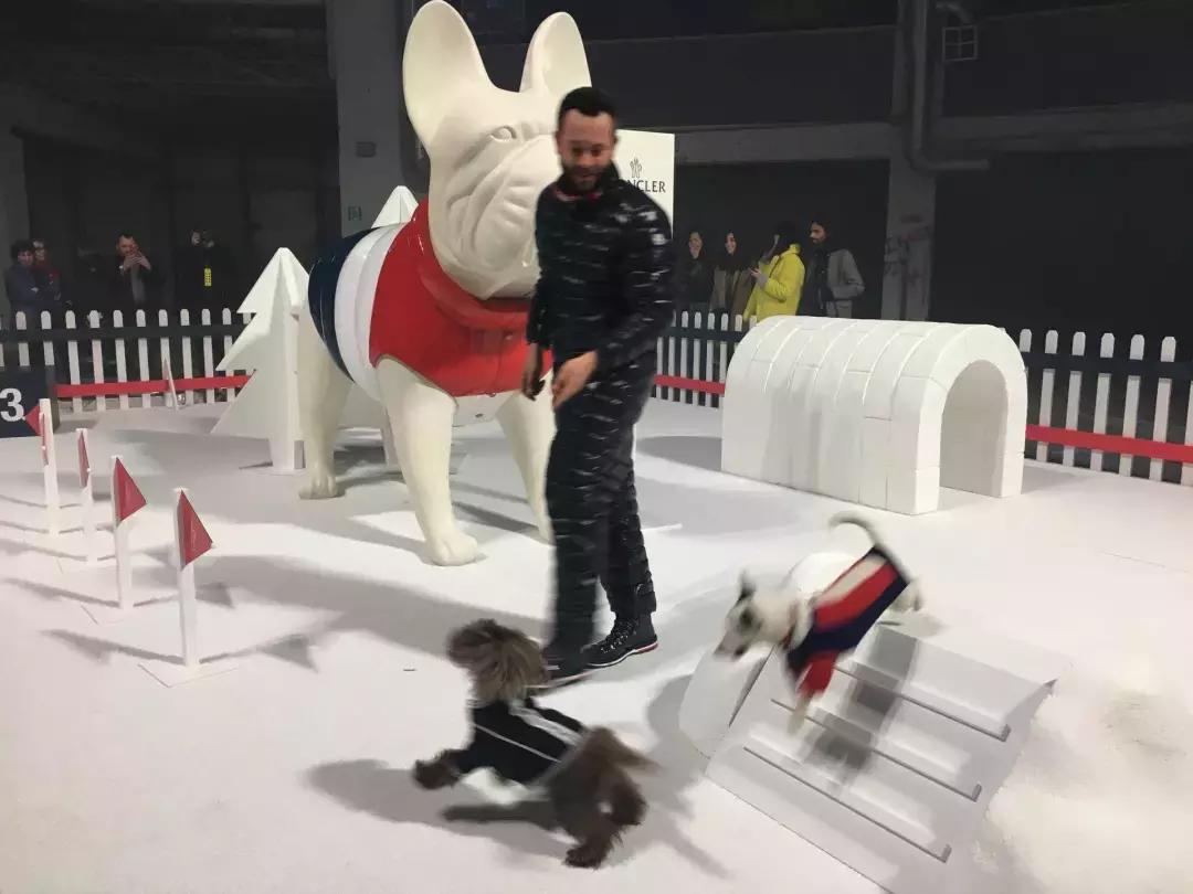 盘点那些人格分裂的人,吐槽自己精神分裂