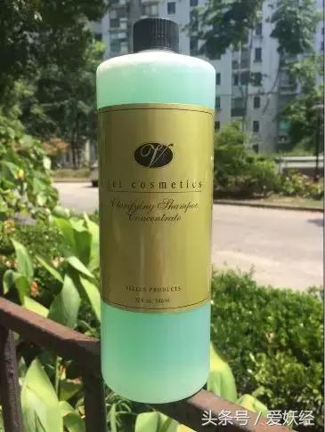 宠物洗护合集,宠物洗护攻略