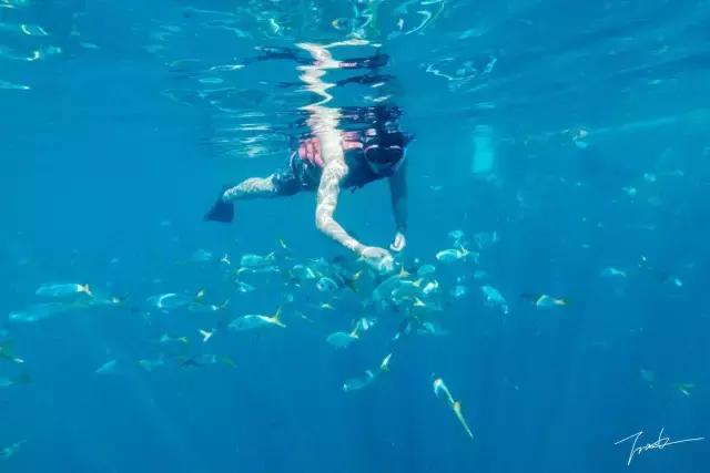 帕劳深度游出海,帕劳深潜体验