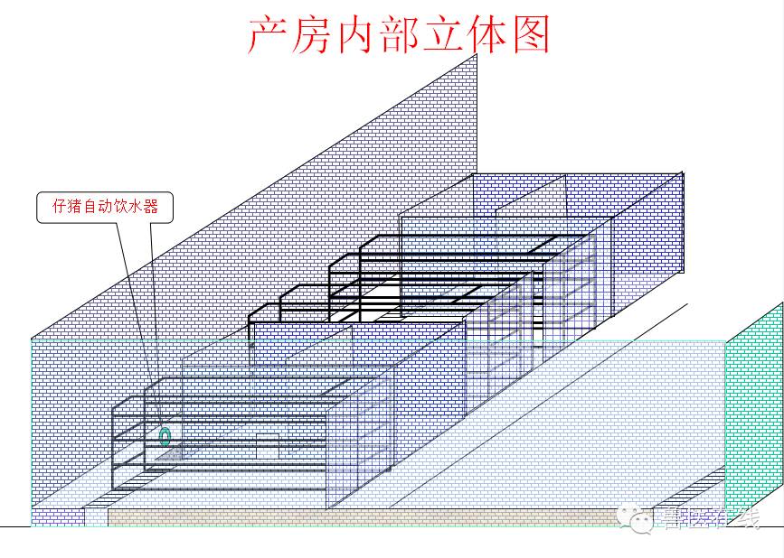 猪场刮粪机排粪沟设计图,100头母猪猪场设计图