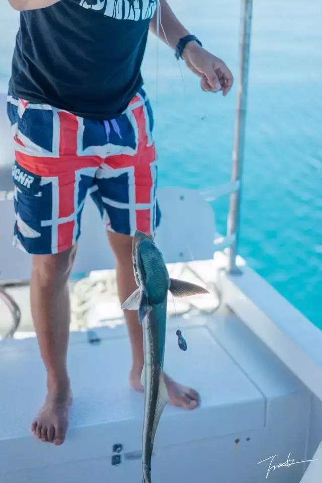 帕劳深度游出海,帕劳深潜体验