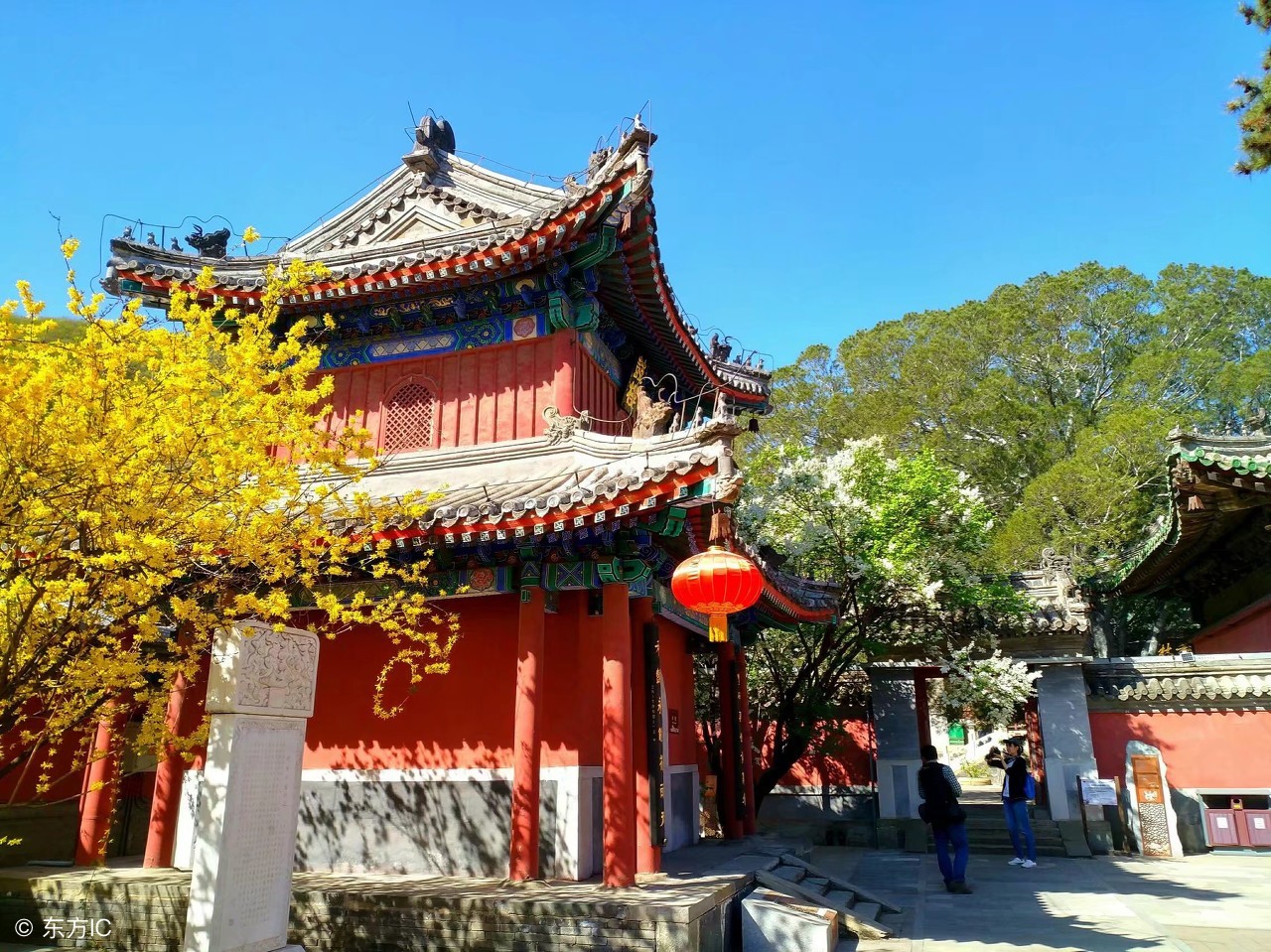 中国人能在日本长期生活吗,日本适合人类生存吗