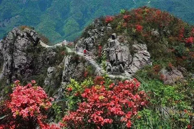 滚蛋吧,春困君!广东这些花花世界让你秒变龙马精神!