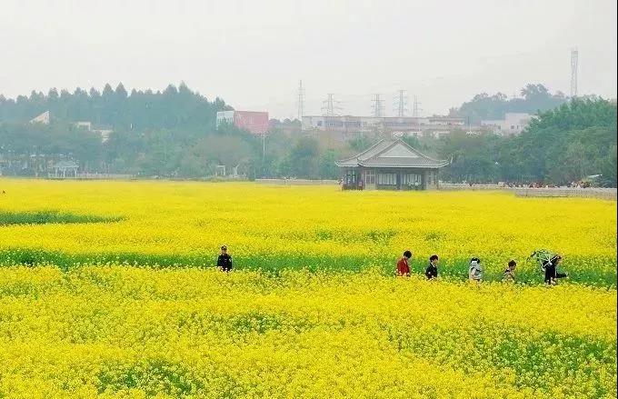 滚蛋吧,春困君!广东这些花花世界让你秒变龙马精神!
