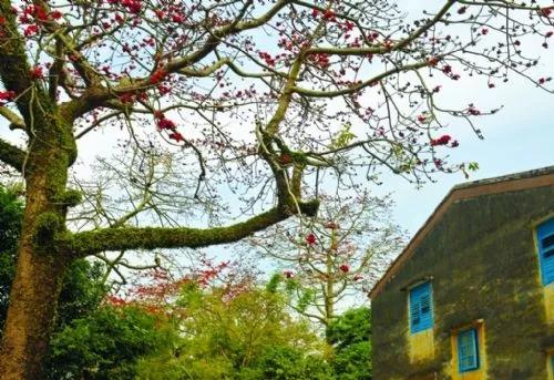 滚蛋吧,春困君!广东这些花花世界让你秒变龙马精神!