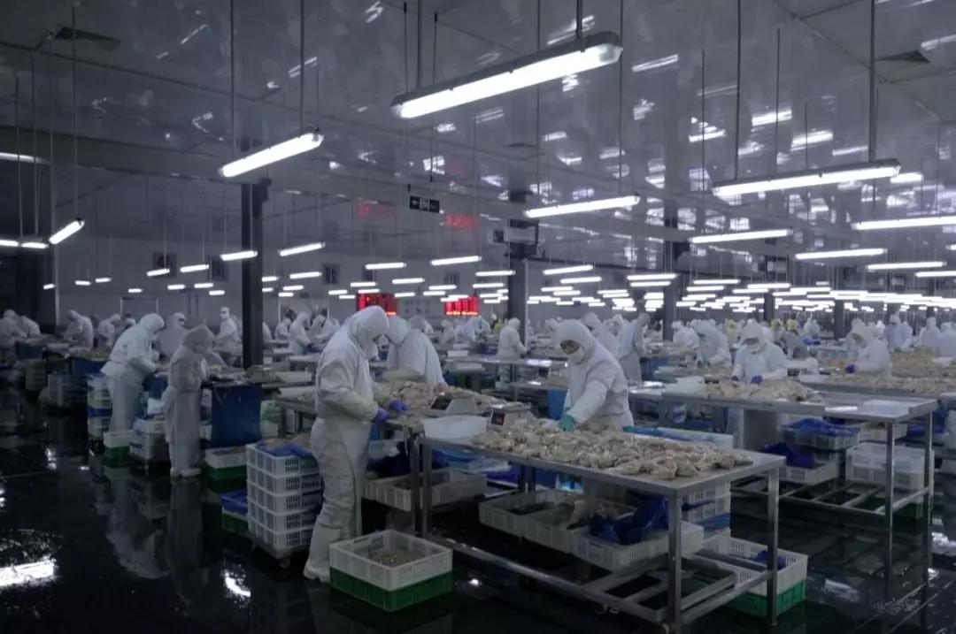 火箭式创业,鸡排加盟连锁店10大品牌