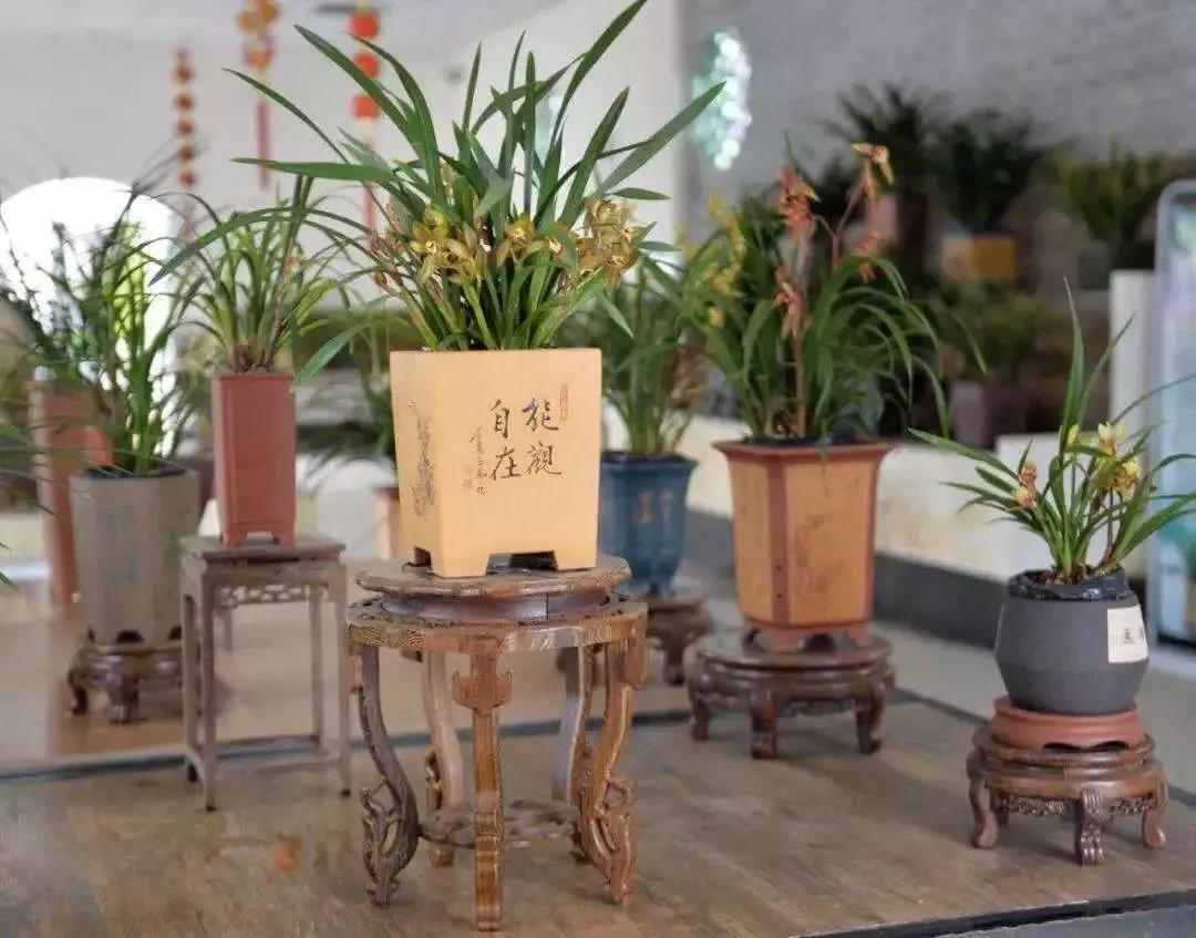 滚蛋吧,春困君!广东这些花花世界让你秒变龙马精神!