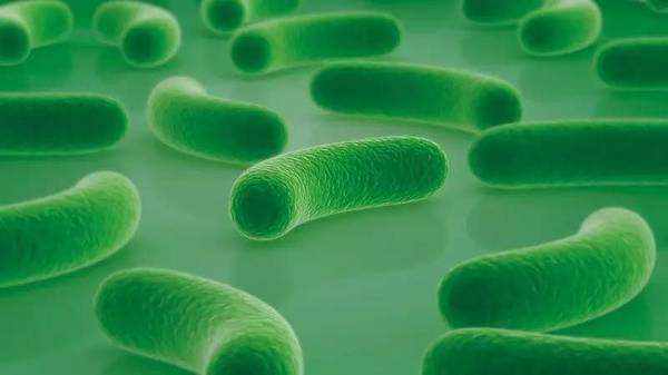 网购保健品别乱吃,跟风购买保健品