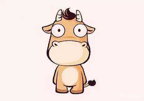 传统文化十二生肖视频,中华传统文化十二生肖图片