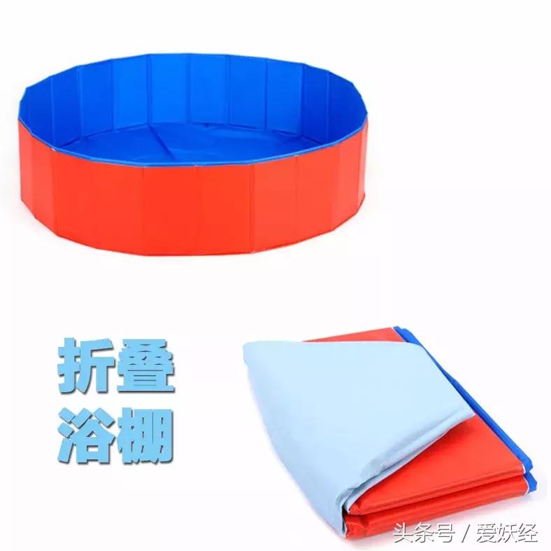 宠物洗护攻略,爱妖经养宠怎么玩