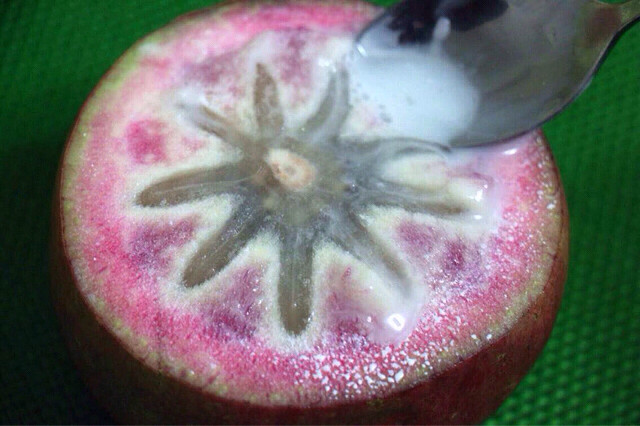 野生奇异果种植技术,四川野果100种大全