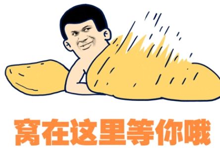 柳岩李小璐杨幂林志玲高圆圆张俪,林志玲高圆圆惊艳亮相