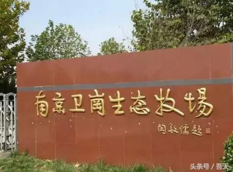 淮阴区卫岗,亳州卫岗镇