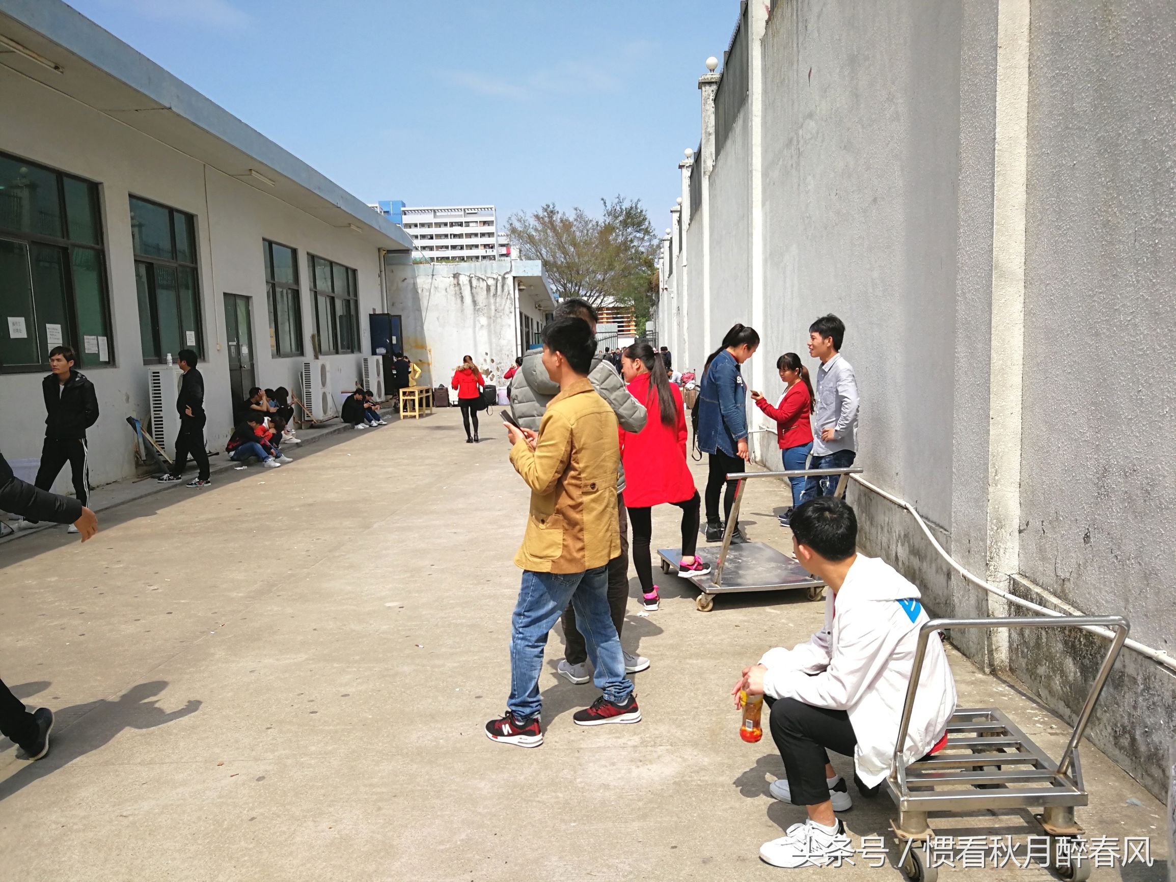 深圳市龙岗区宝龙比亚迪招工直播,宝龙比亚迪招聘排队