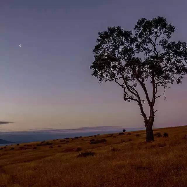 澳洲签证体检后多久签证可以获批,澳洲820签证转801签证需要多久