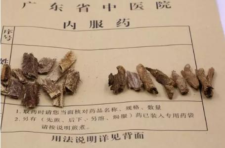 白豆蔻草豆蔻肉豆蔻各是什么功效,草豆蔻与白豆蔻肉豆蔻的功效区别