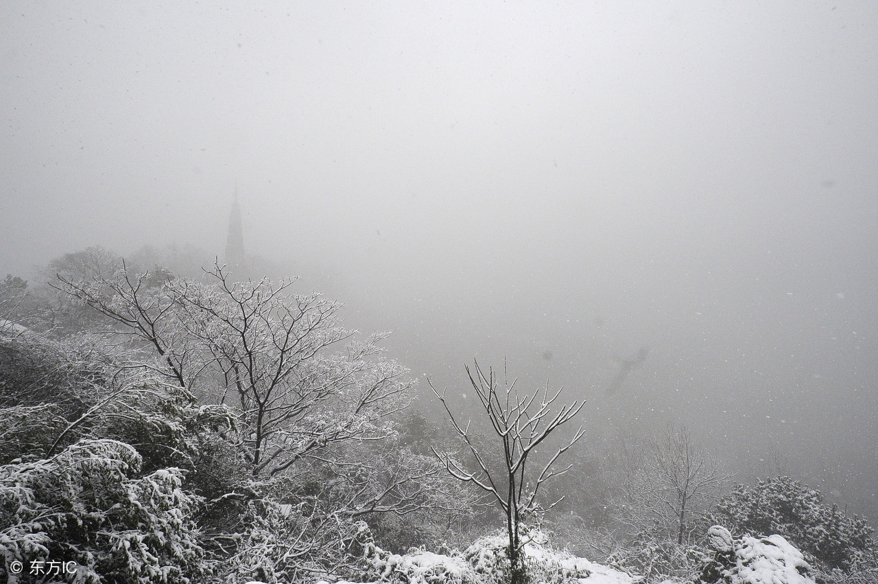 伤寒论真武汤在第几条,伤寒论真武汤教学视频
