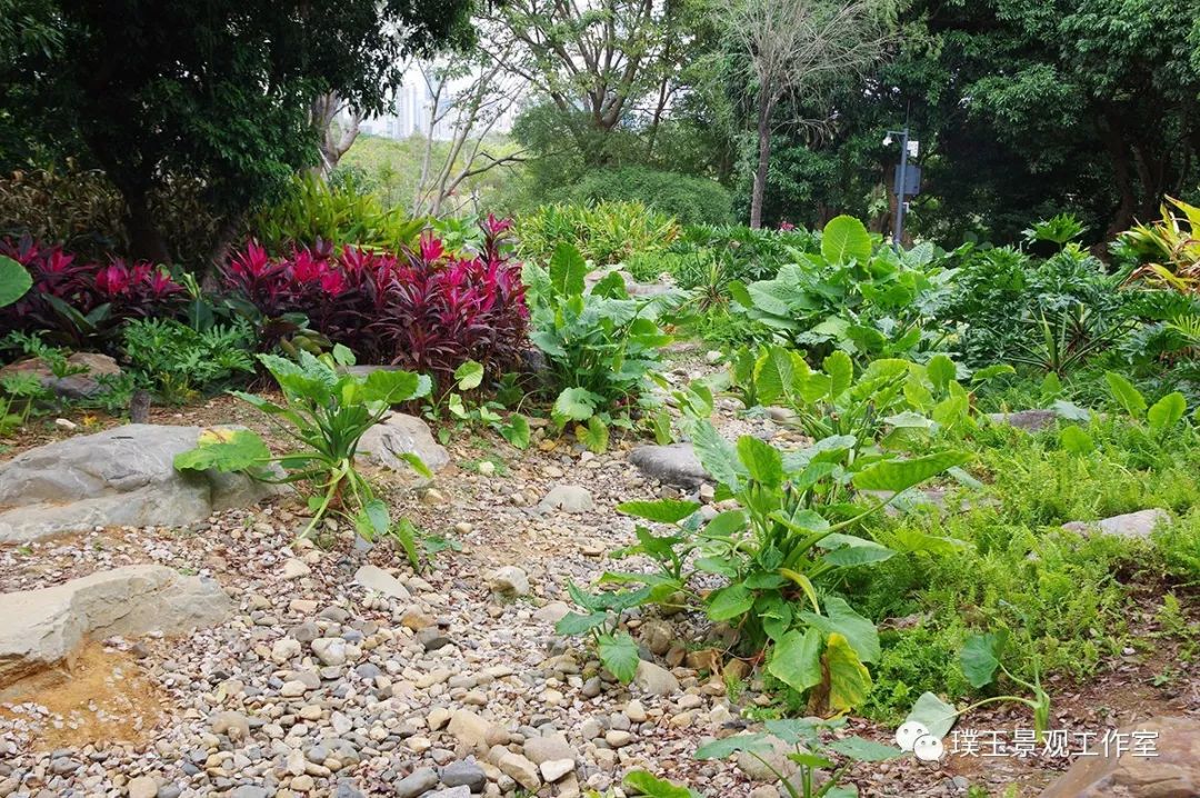 深圳香蜜公园航拍视频,香蜜湖香蜜公园