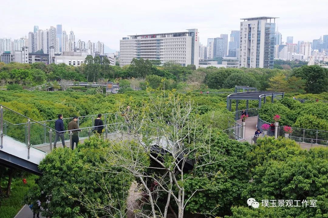 2019年香蜜湖公园,最新香蜜公园视频