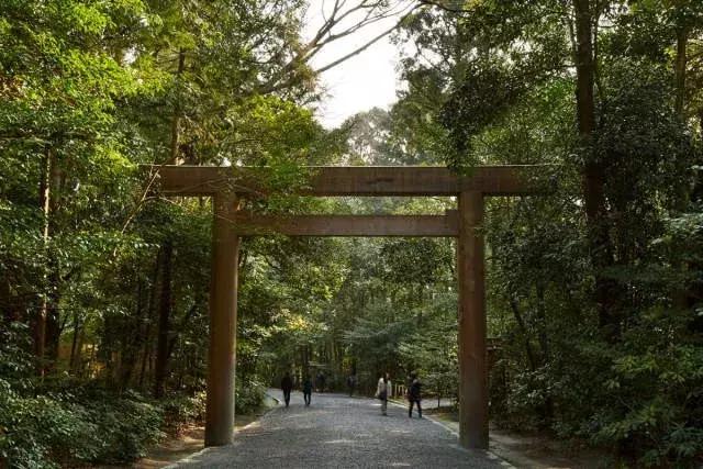 让人痴狂的伤感歌,让人痴狂诗句