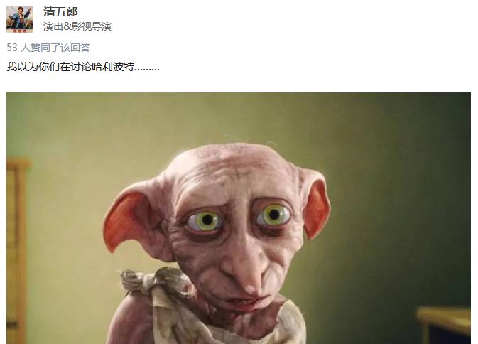 养一只无毛猫的真实感受,养一只无毛猫要多少钱