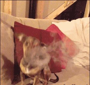 怎么帅气的吐烟圈,教你吐烟