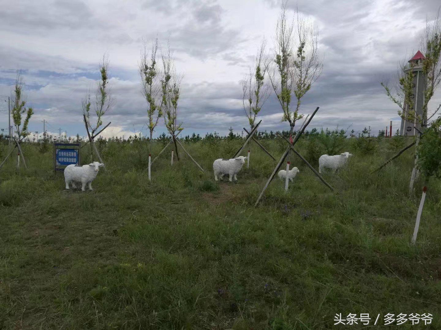 锡林郭勒盟边境自驾穿越,锡林郭勒大草原中蒙边境游