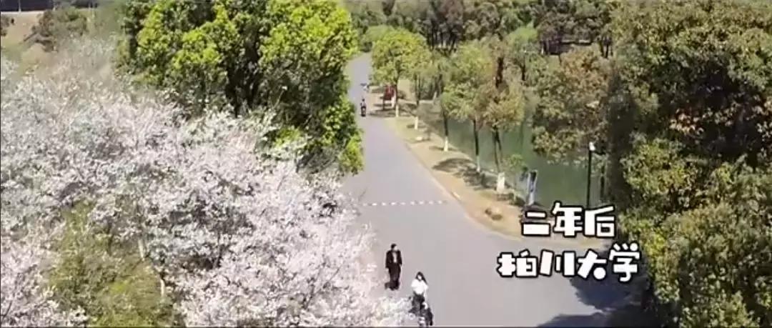 漫改剧单恋大作战,单恋大作战孔垂楠结婚