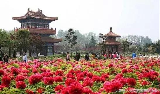 玩转洛阳多少钱,玩转洛阳市