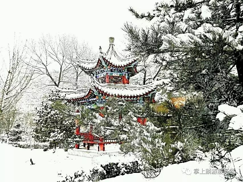 美丽麟游完整视频,雪景美如素描画