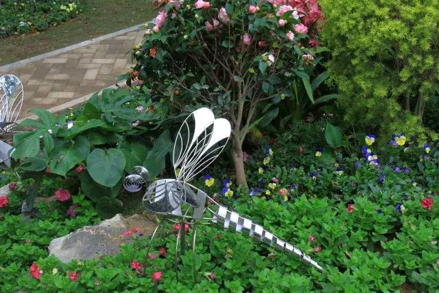 还没看的景点,大夫山最美景色