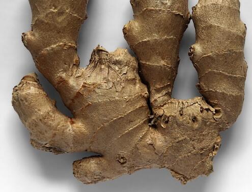 种植一亩地生姜的成本是多少,种植生姜一亩地用多少生物有机肥