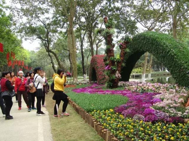 还没看的景点,大夫山最美景色
