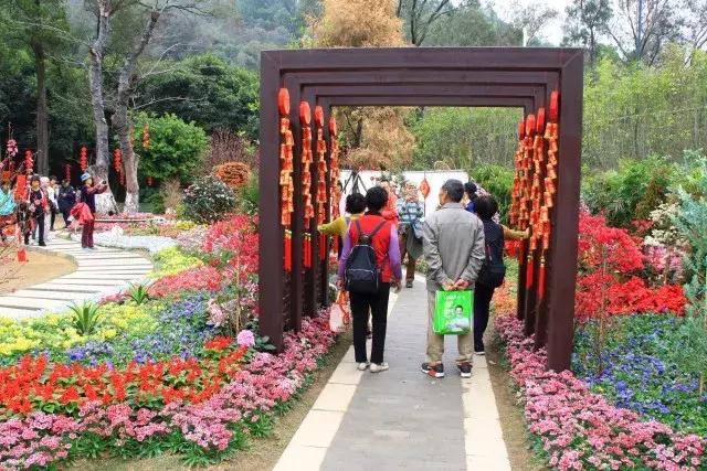 还没看的景点,大夫山最美景色