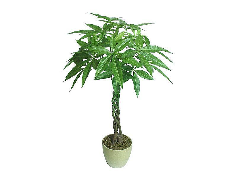 请财神风水,财神屋有什么讲究和禁忌